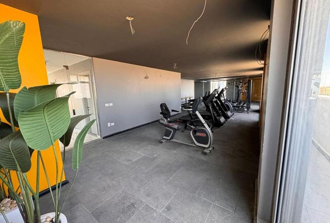 8020565 - Property Image 3