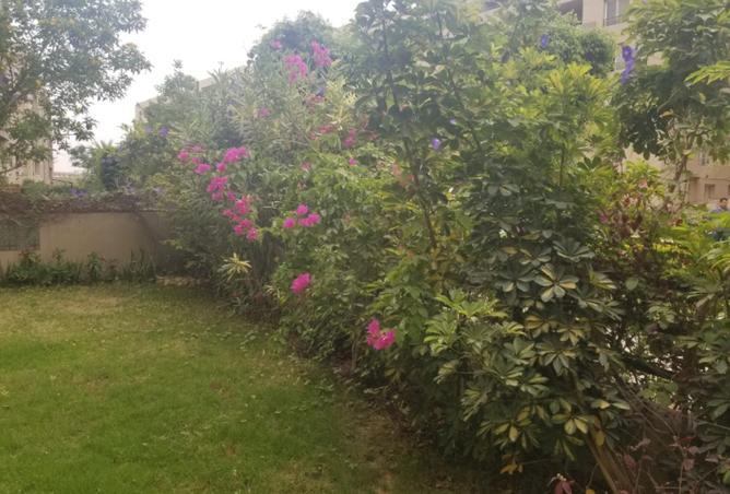 8394151 - الصورة الرئيسية للعقار