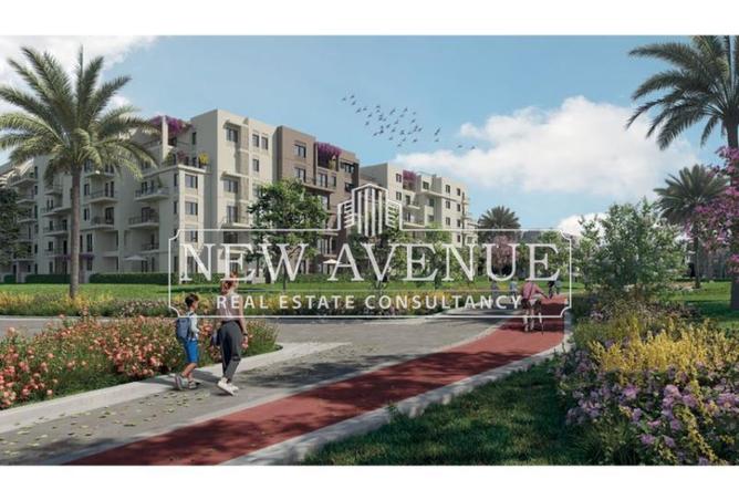 8455009 - Property Image 3