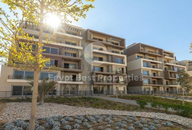 8018073 - Property Image 3