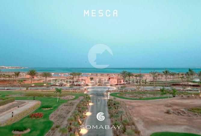 8125655 - صورة العقار 3