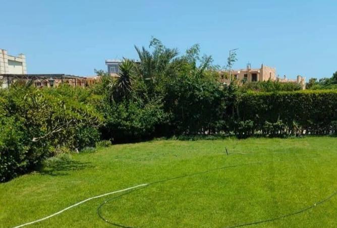 8008341 - صورة العقار 2