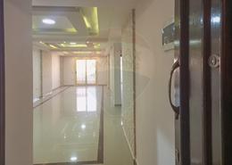 Apartment - 3 bedrooms - 2 bathrooms for للايجار in Khalil Mutran St. - Saba Basha - Hay Sharq - Alexandria