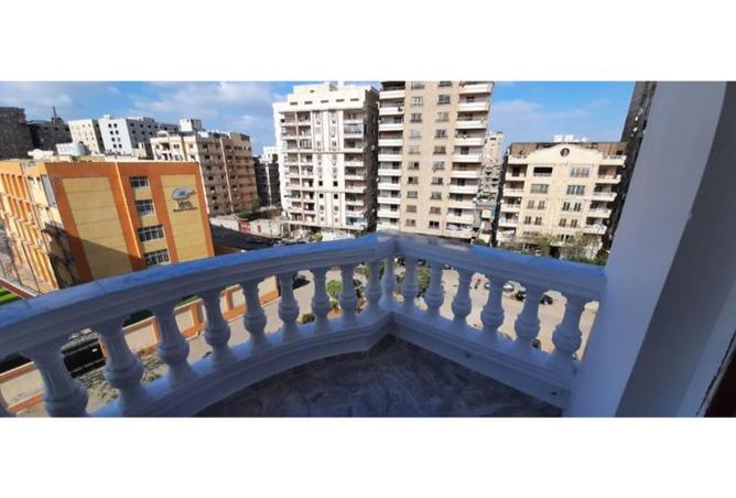 8191617 - صورة العقار 3