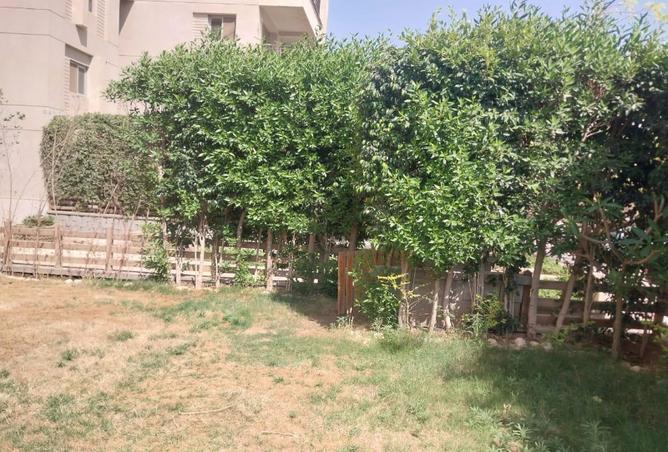 7968403 - صورة العقار 2