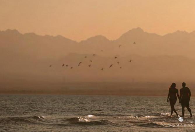 8189410 - صورة العقار 2