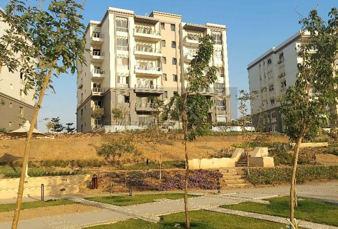 8322503 - Property Image 3