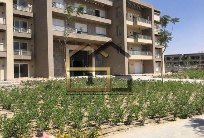 8325197 - صورة العقار 3