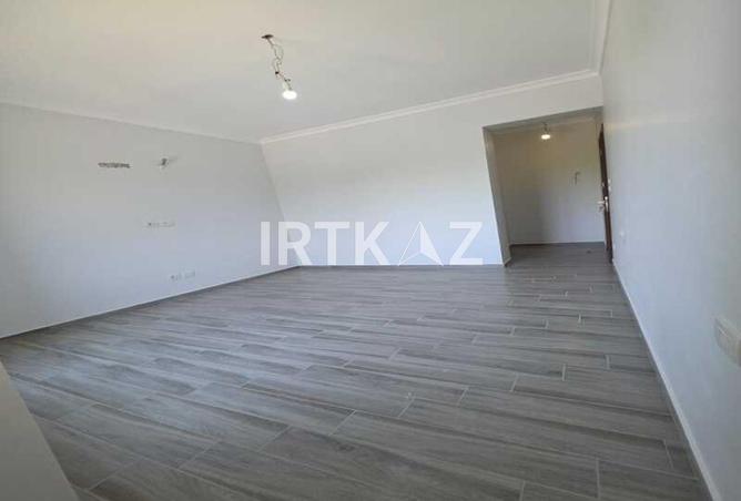 8491827 - Property Image 2