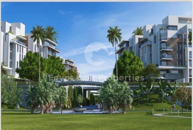 8321120 - Property Image 3