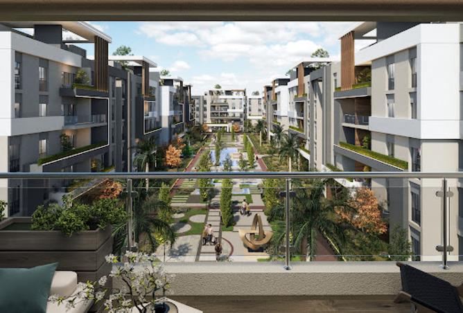 8240127 - Property Image 3