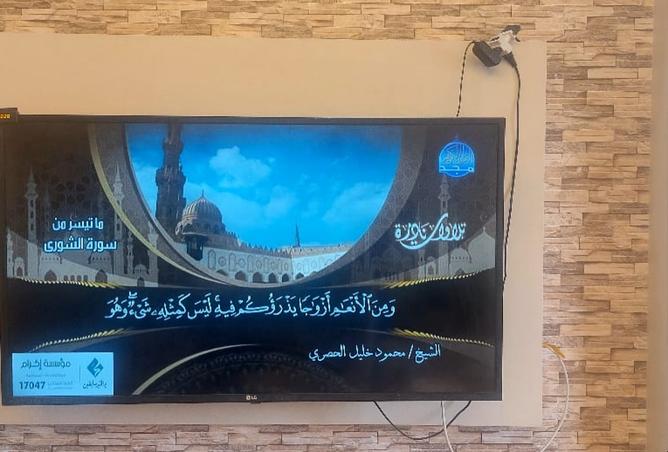 8303951 - Property Image 3