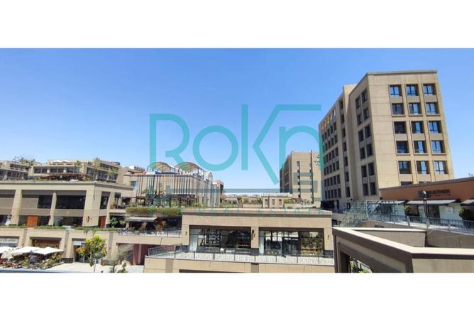 8397777 - Property Image 3