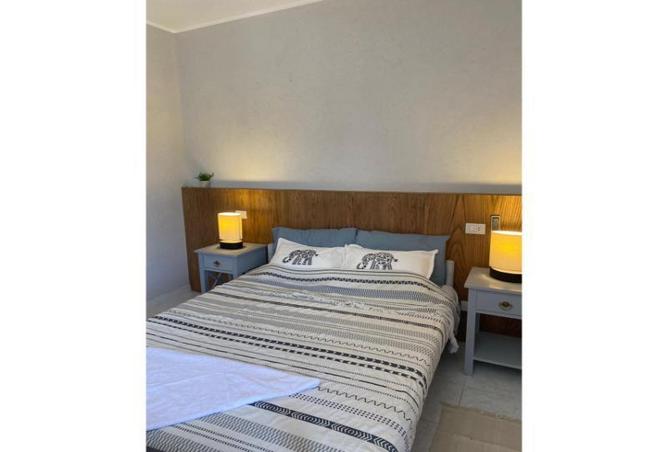 8473334 - Property Image 3