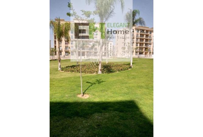 8041001 - صورة العقار 3