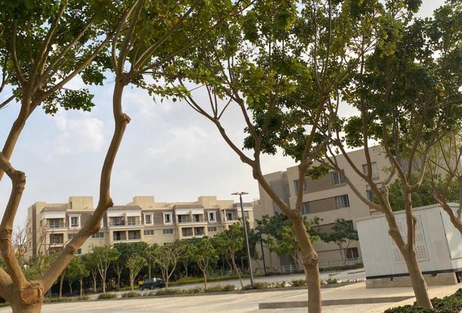 8380342 - Property Image 2