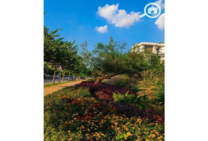 8139420 - صورة العقار 3