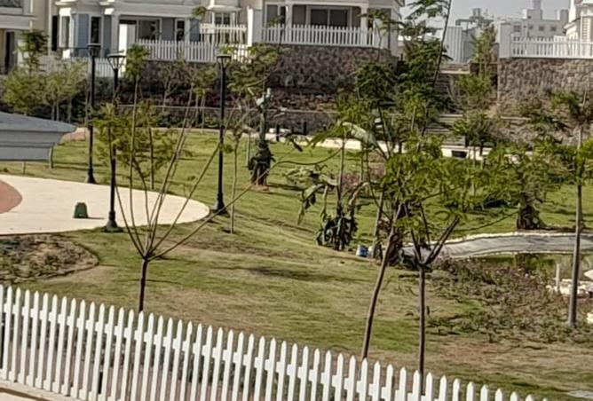 8308734 - صورة العقار 3