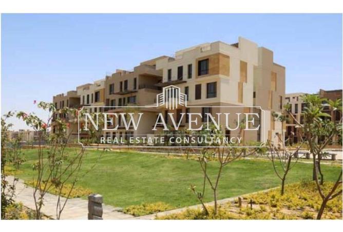 8243560 - Property Image 2