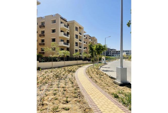 8294105 - Property Image 3