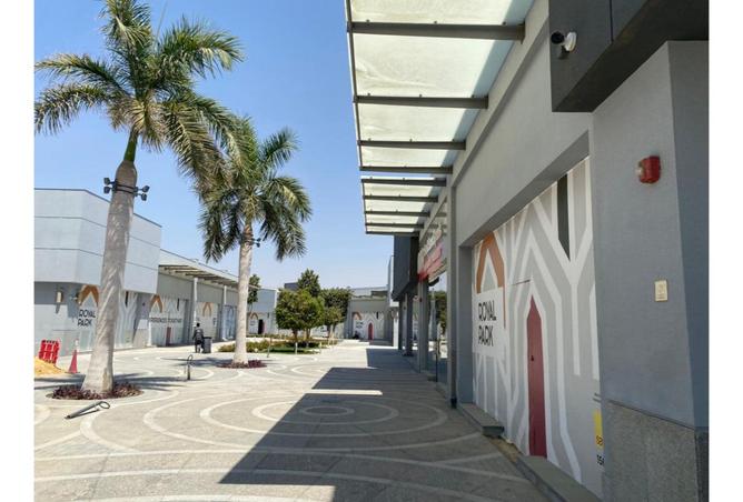 8382284 - Property Image 3