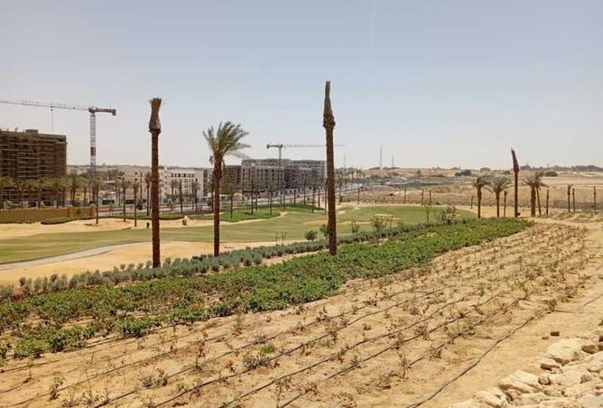 8375431 - Property Image 3