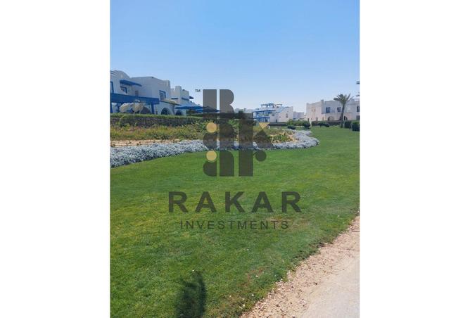 8006923 - صورة العقار 3