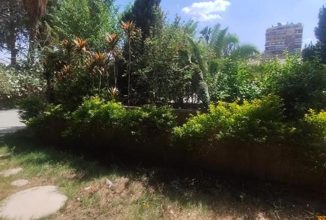 8060666 - Property Image 3