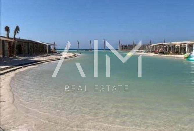 8391190 - Property Image 3