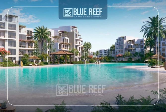 8279172 - Property Image 2