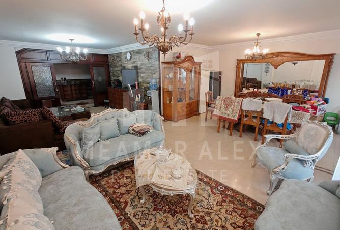 7927057 - Property Image 3