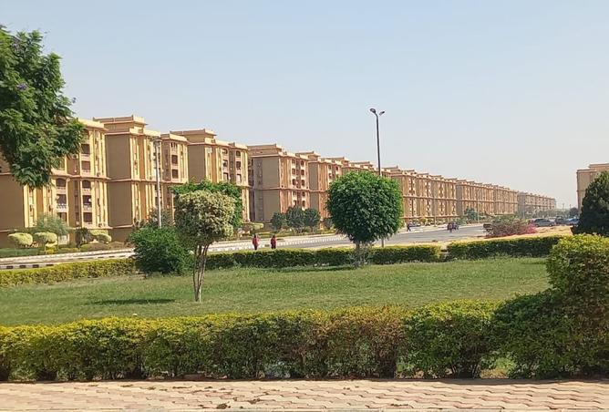 8146328 - Property Image 2