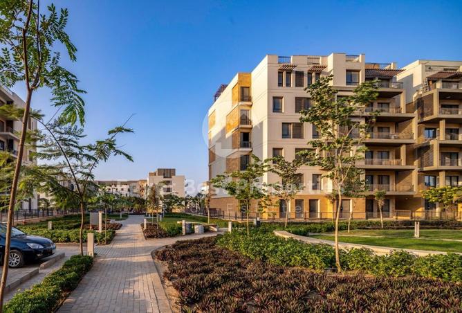 8450676 - Property Image 3