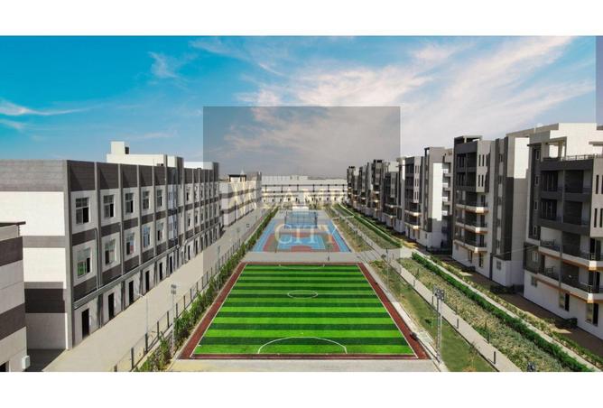 8381682 - صورة العقار 3