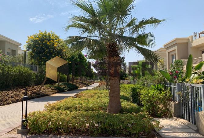 8465890 - صورة العقار 2