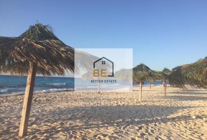 7835730 - Property Main Image