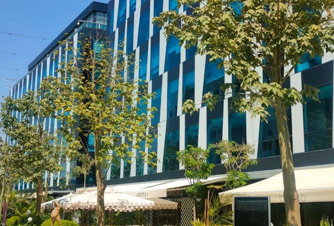 8438025 - صورة العقار 3