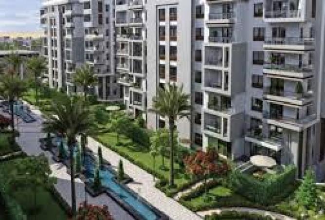 8432291 - Property Image 3