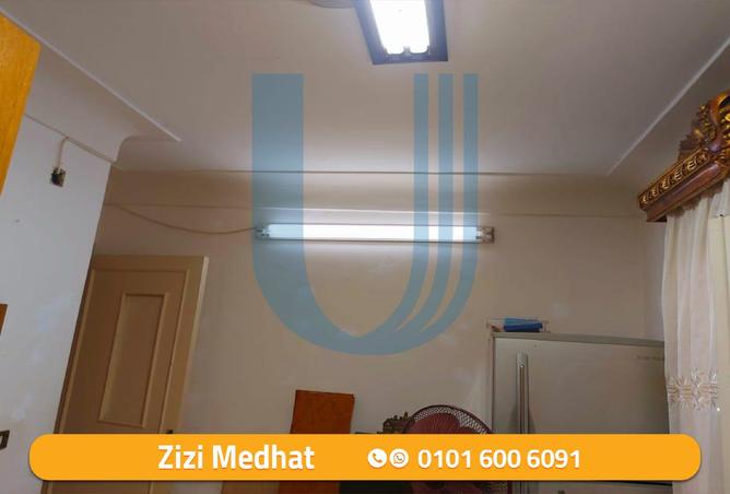8156657 - Property Image 2
