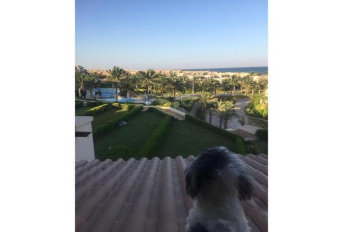 8003922 - الصورة الرئيسية للعقار