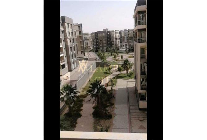 8165616 - Property Image 3