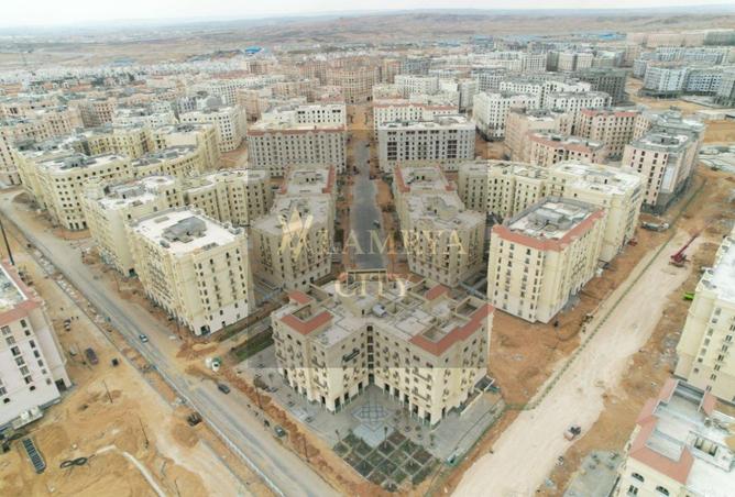 8015478 - Property Image 3