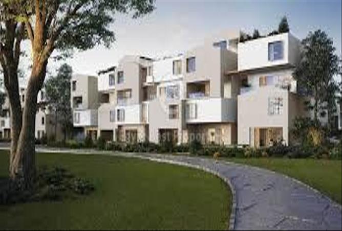 7970702 - Property Image 3