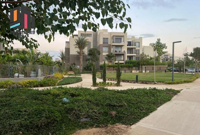 8108593 - Property Image 3