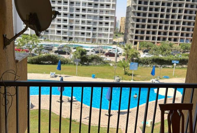 7928359 - صورة العقار 2