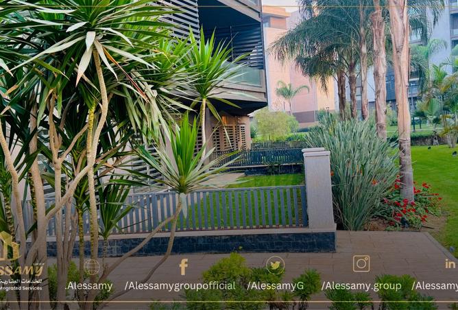 8296222 - صورة العقار 2