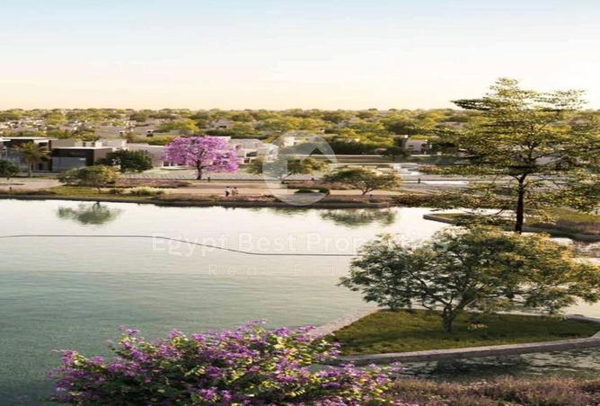 8380843 - Property Image 3