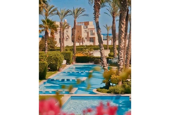 8558634 - صورة العقار 3