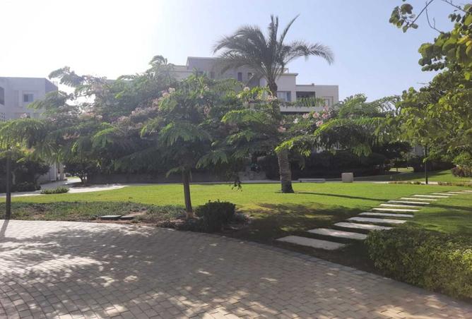 8326174 - صورة العقار 3