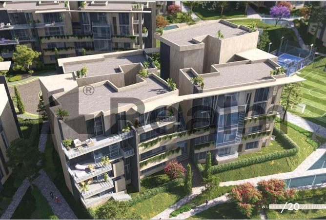 7990430 - Property Image 3